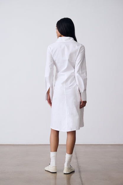 The Belted Button Down Dress The Belted Button Down Dress